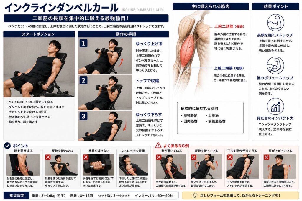 インクラインダンベルカール